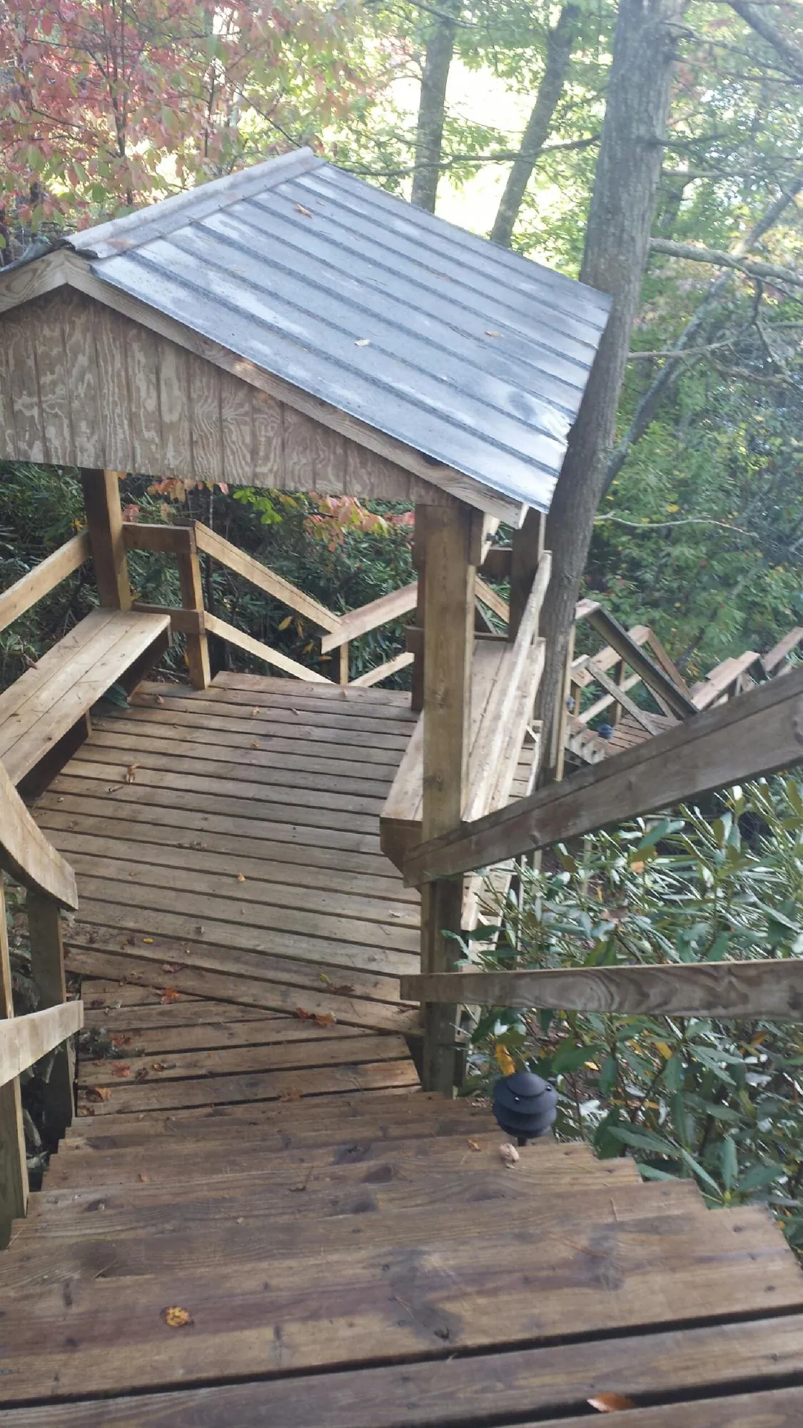 Metal roofed shelter over wooden steps on a wooded walkway — Skylight Repair & Installation work by our crew in Bath Springs